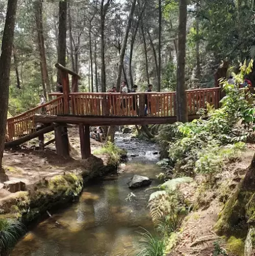 Parque Arví